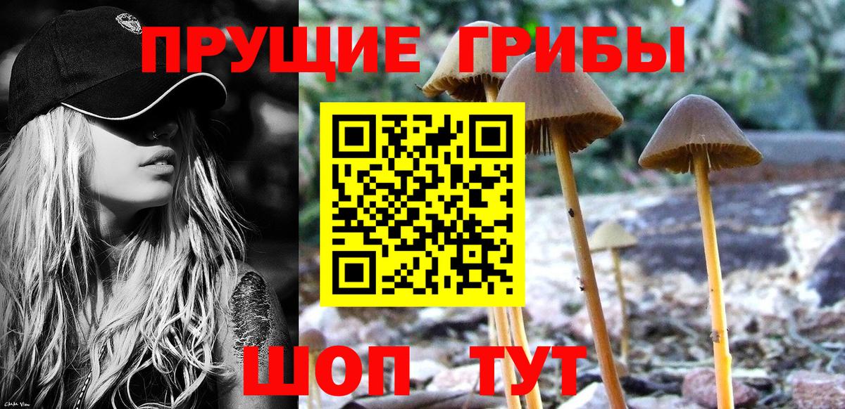 Галлюциногенные грибы Psilocybe  Галлюциногенные грибы мухоморы  Вход с VPN  Волхов 