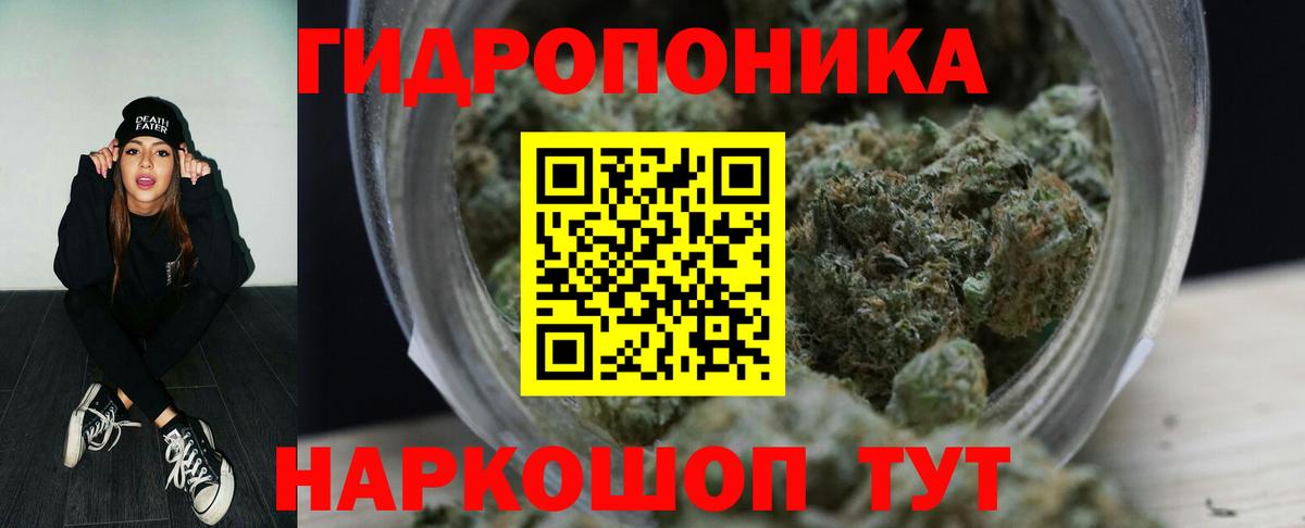 Волхов  Канабис семена  Вход с VPN  Бошки Шишки LSD WEED  Бошки марихуана гибрид 